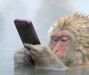 日本温泉猴背后故事：它是怎样抢下iPhone的