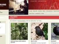 原生态鸟叫声在线听（来自新西兰国家电台）